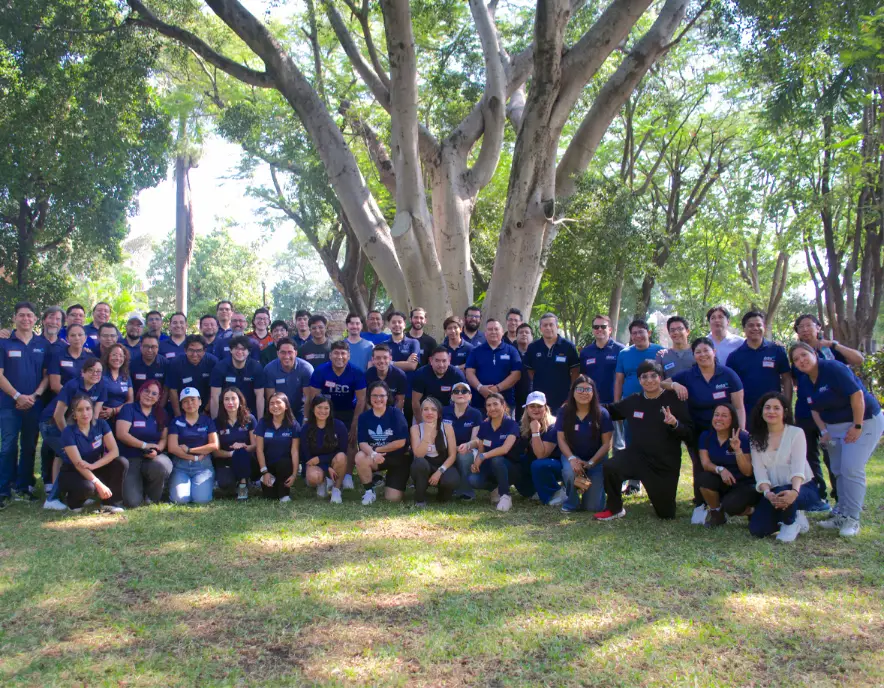 Team Building CDMX — actividad 6